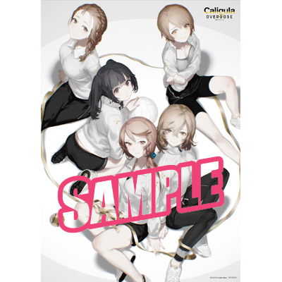 おぐち氏描き下ろし B2布ポスター 集合 カリギュラ オーバードーズ 特典