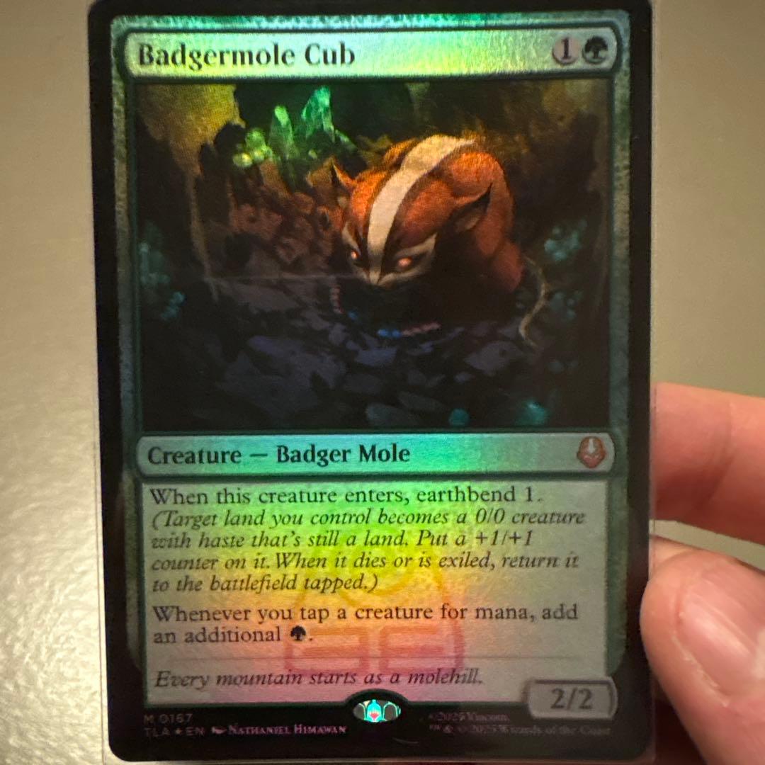 Badgermole Cub クリーチャーカード MTG 英語 Foil Badgermole Cub [326] [Borderless] [Field Notes] [Avatar: The Last