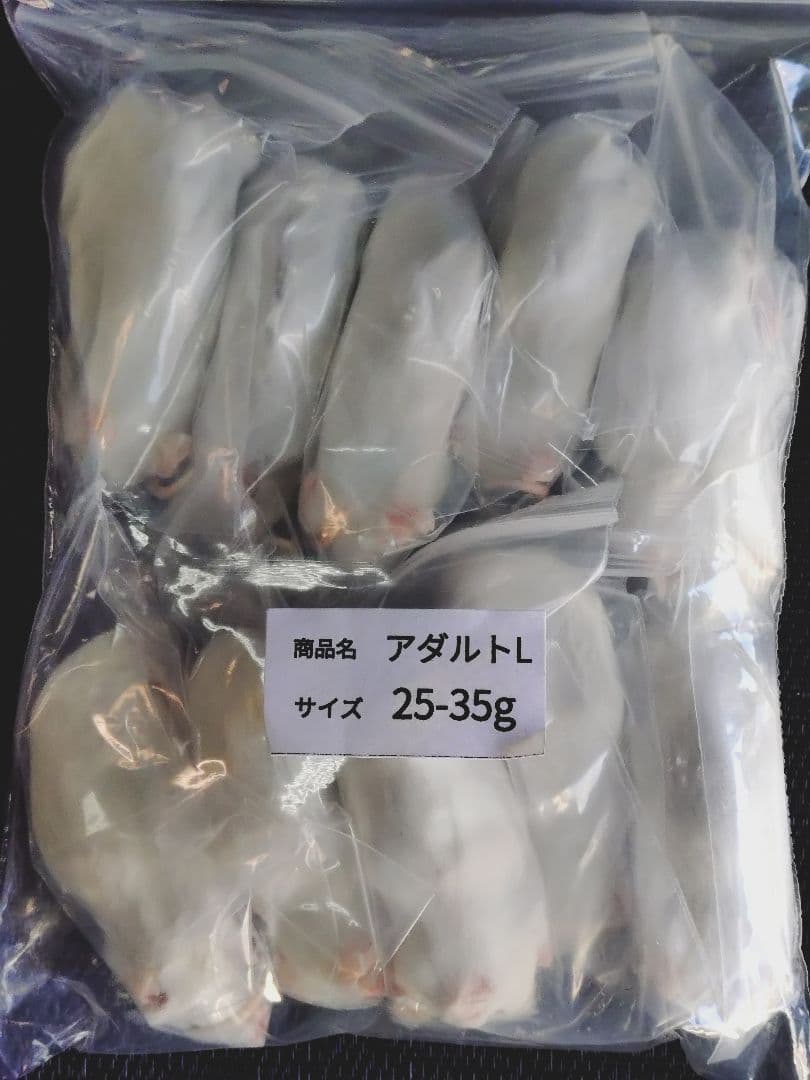 ペッパー　送料無料 冷凍マウスアダルトＬ20匹　アダルトM20匹